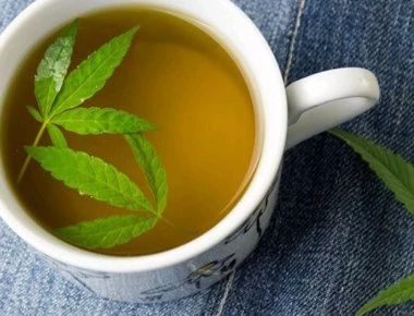 Ανοίγει το πρώτο καφέ-μπαρ με ροφήματα κάνναβης στη Θεσσαλονίκη - Καφέ, τσάι, αναψυκτικά κ.α. θα δοκιμάσουν οι θαμώνες